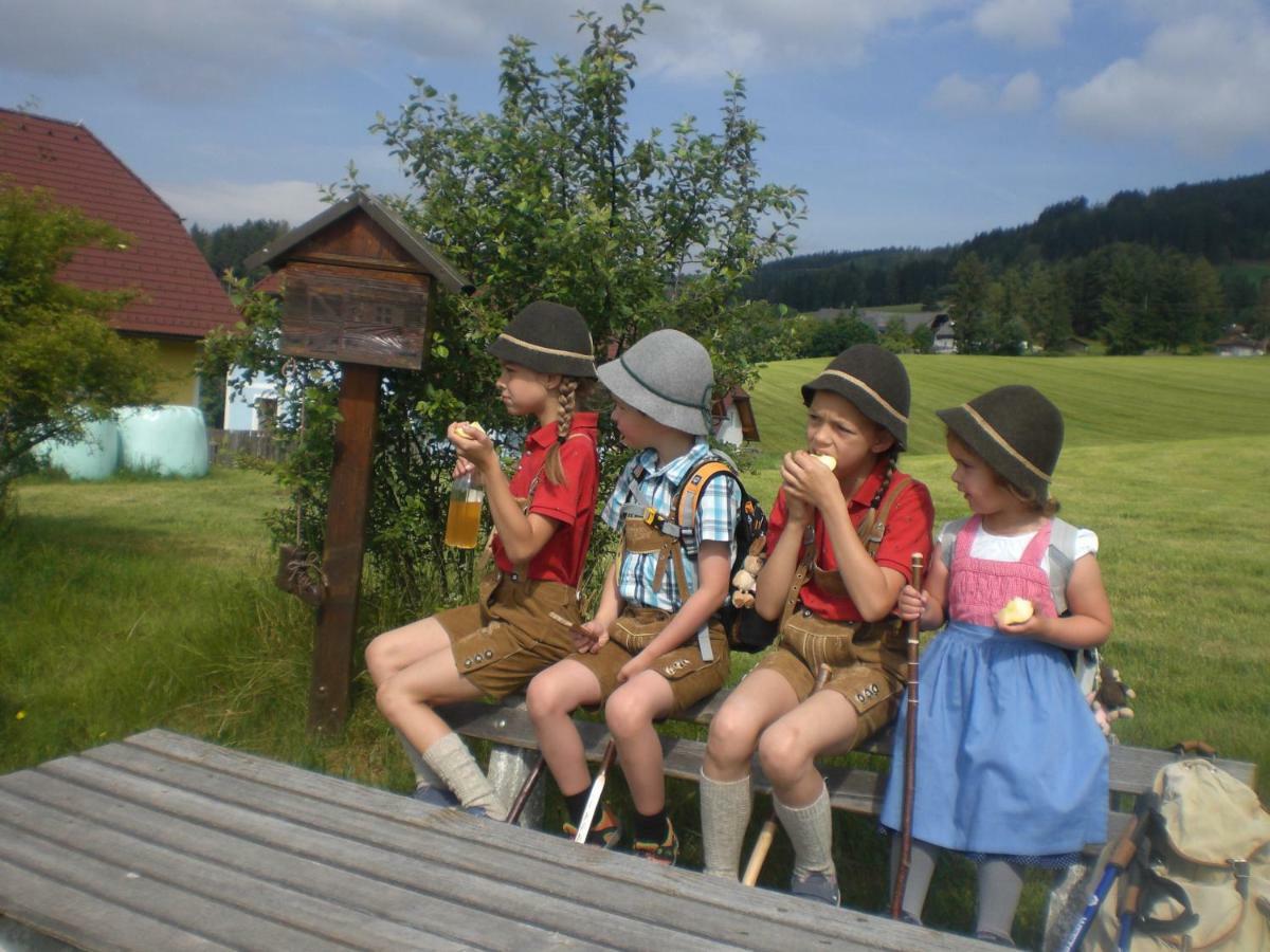 Urlaub Am Bauernhof Grabenhofer Villa Sankt Jakob im Walde Exterior foto